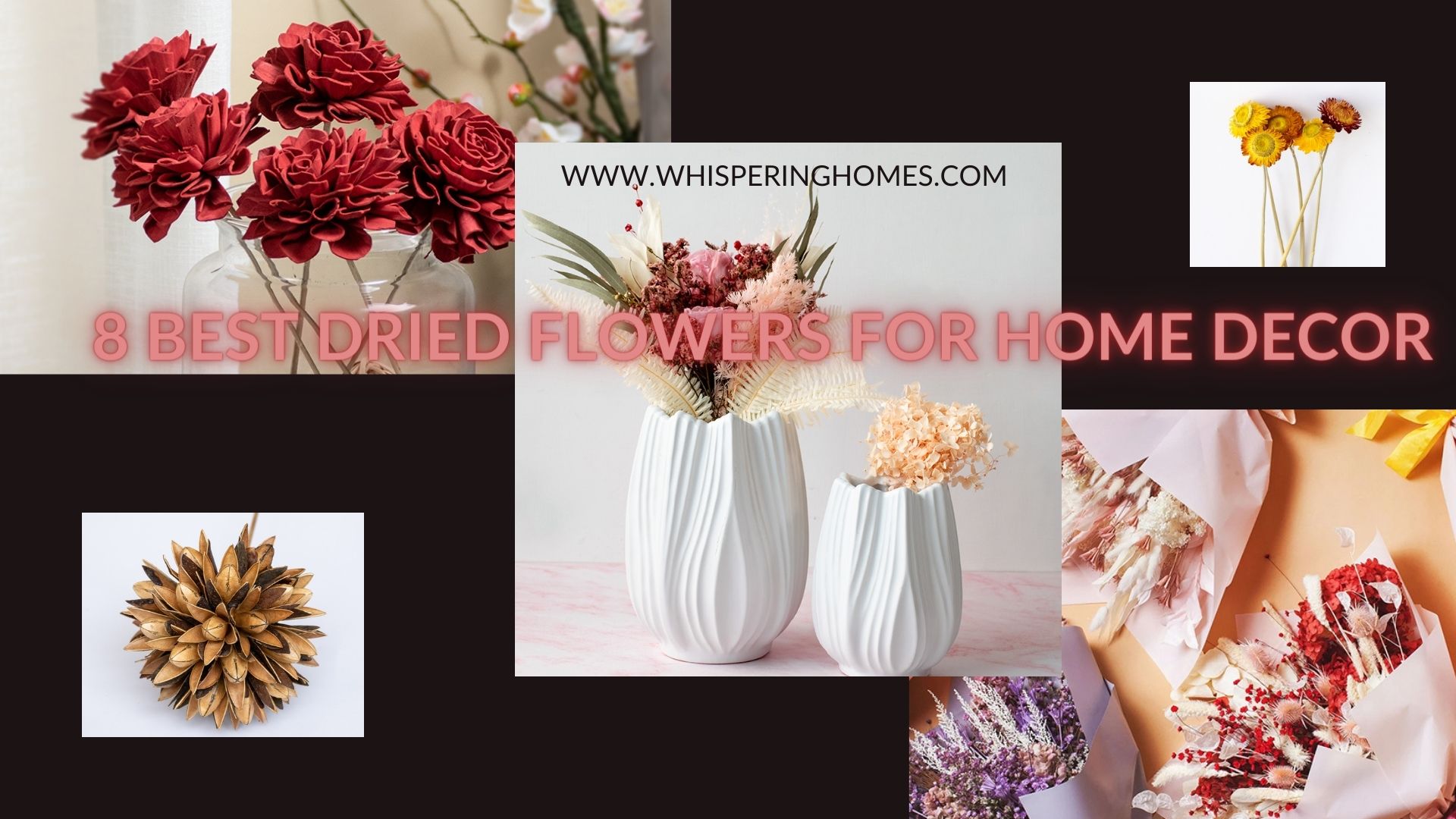 8 Best Dried Flowers for Home Decor